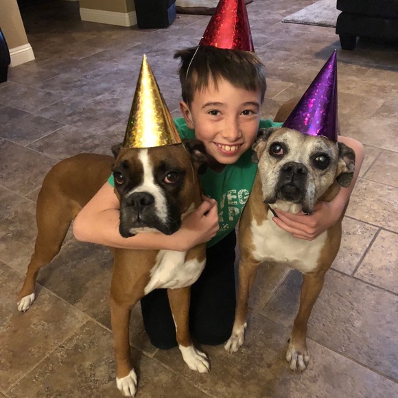 Meet the posher - Picture 5 of 17